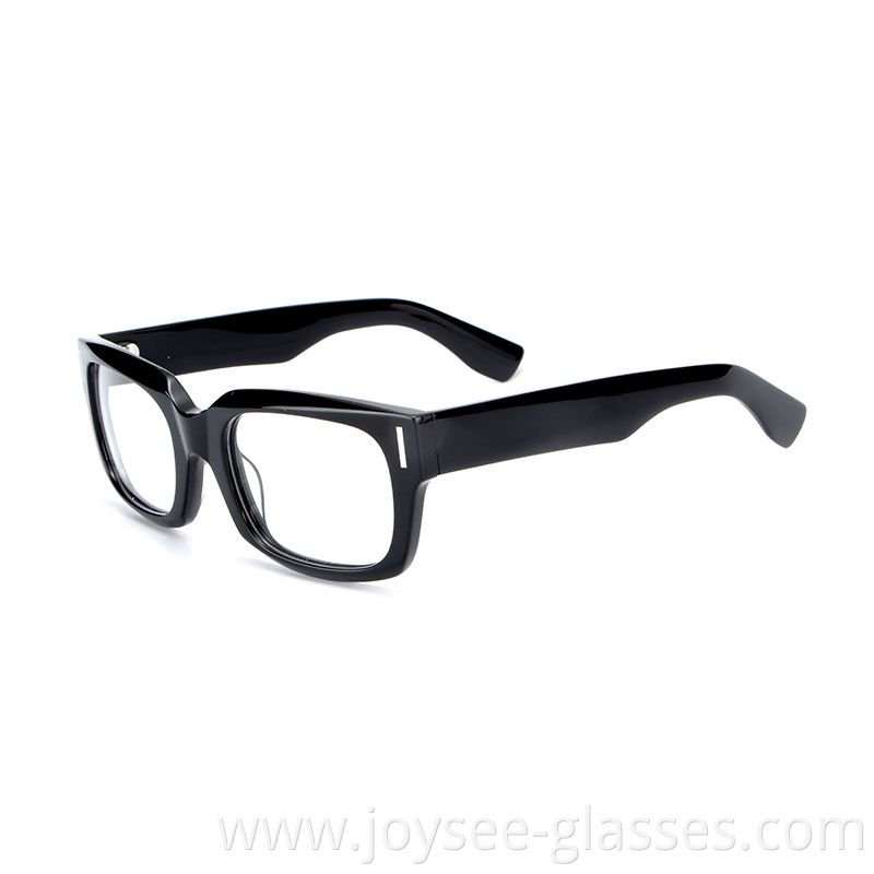 Polished Eyeglasses 2